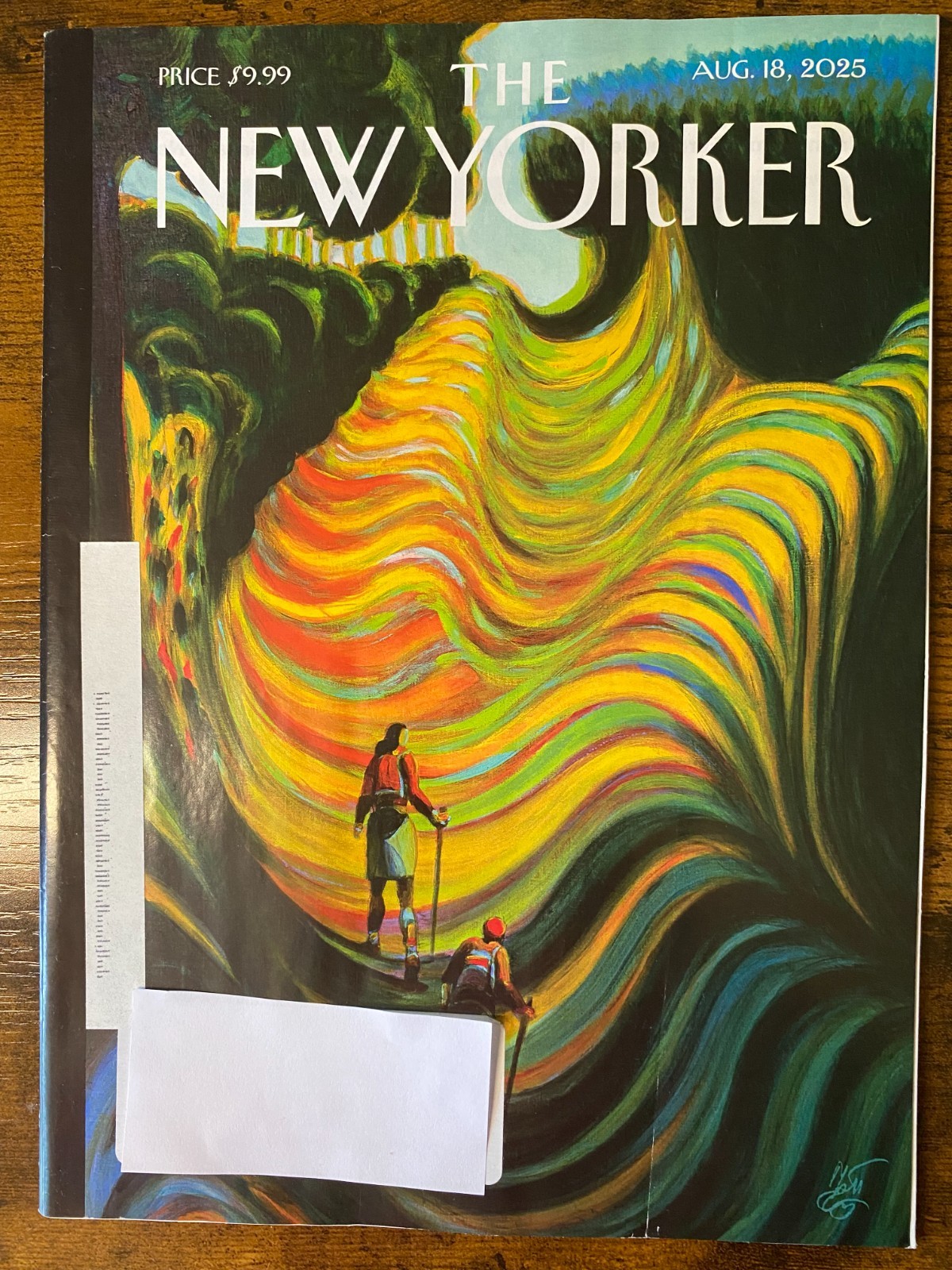 The NEW YORKER MAGAZINE «You Pick» 2025 & 2026 Issues
