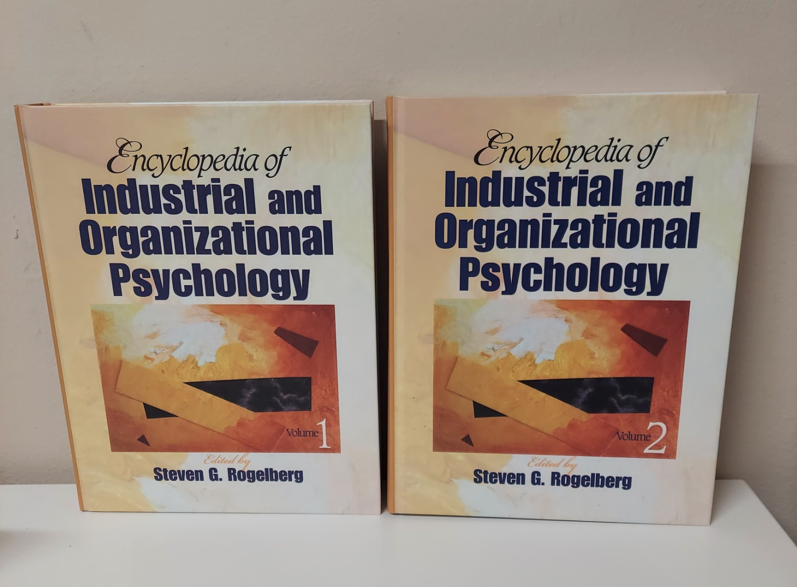 🔥 Like New – Encyclopedia of Industrial and Organizational Psychology Vol 1 & 2
