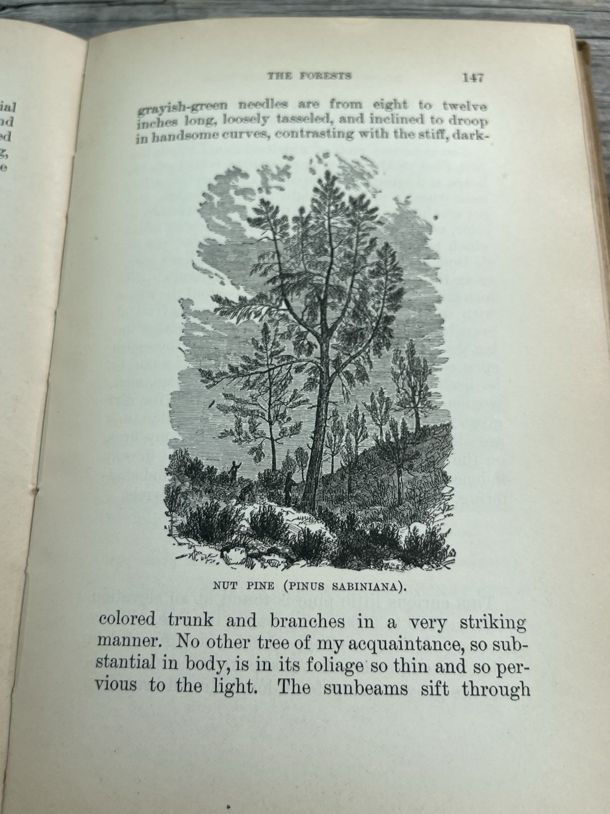 The Mountains Of California John Muir First Edition 1894 1st Printing Book 1800s