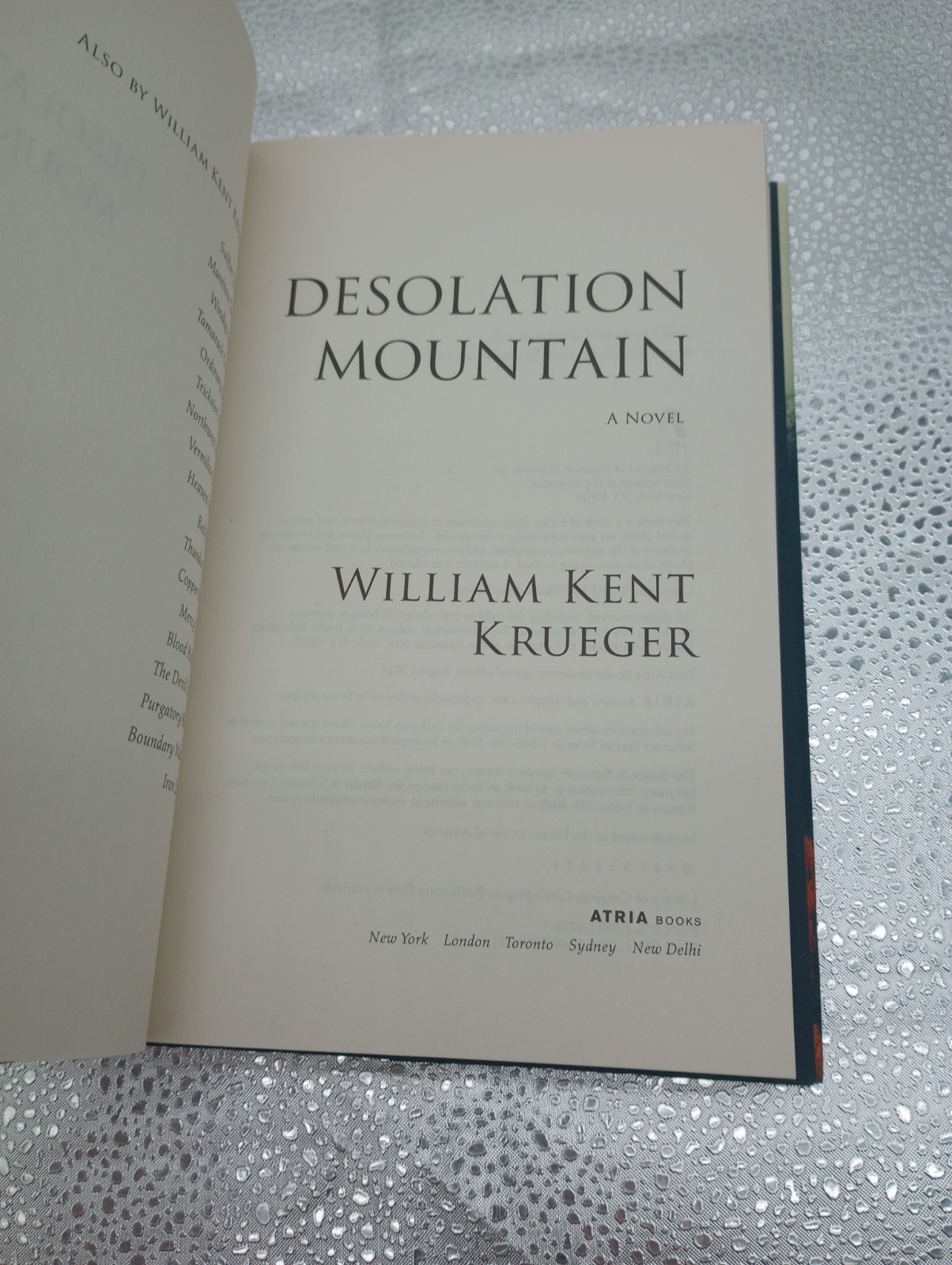 Desolation Mountain : A Novel Paperback William Kent Krueger