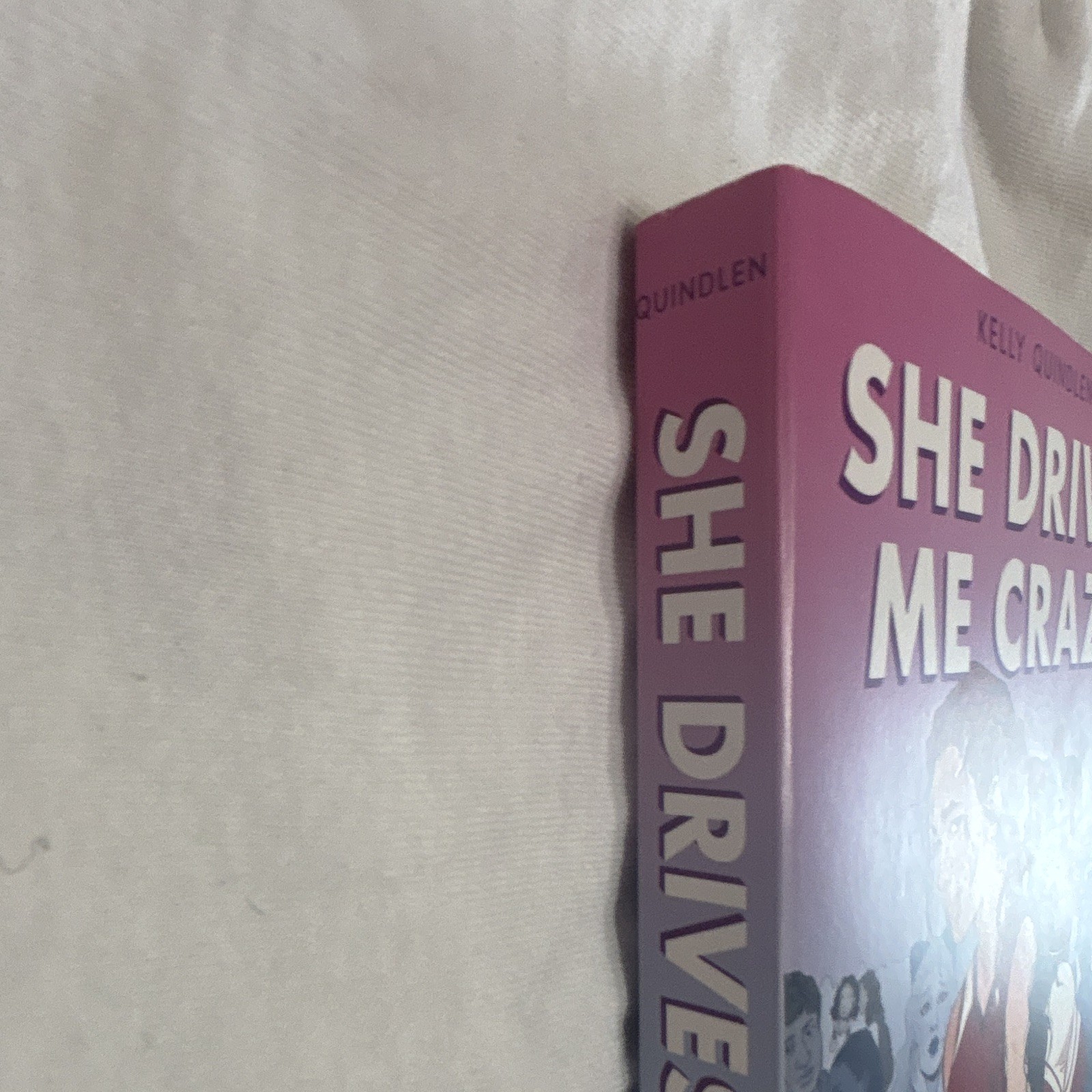 Kelly Quindlen She Drives Me Crazy Trade Paperback 2022 Square Fish 1st Go Fish