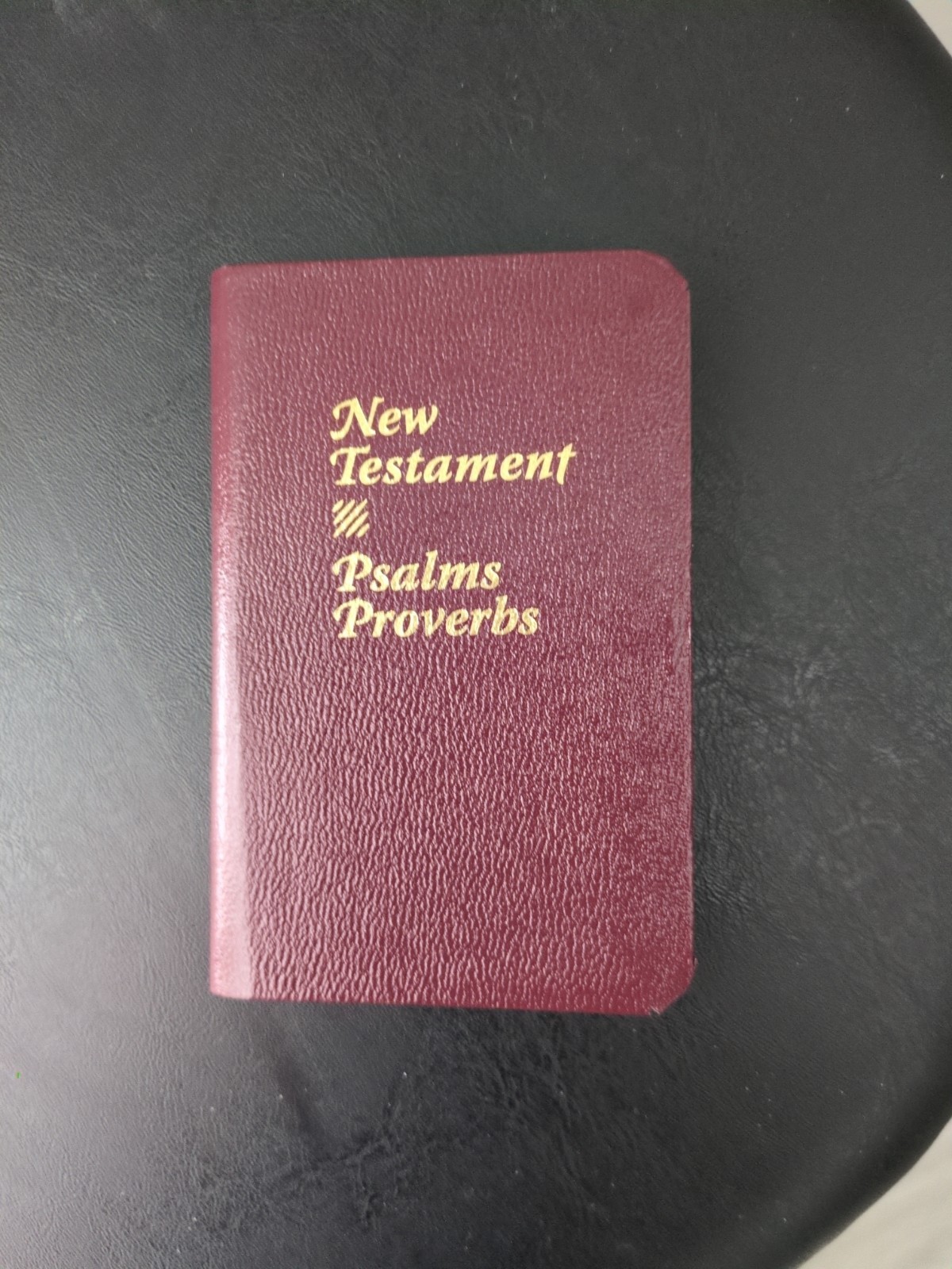 New Testament Psalms Proverbs Pocket Bible Burgundy Faux Leather Gold Trim Mini