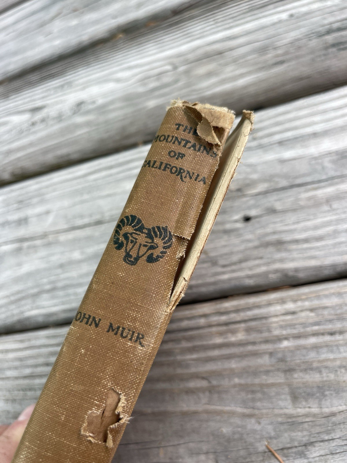 The Mountains Of California John Muir First Edition 1894 1st Printing Book 1800s