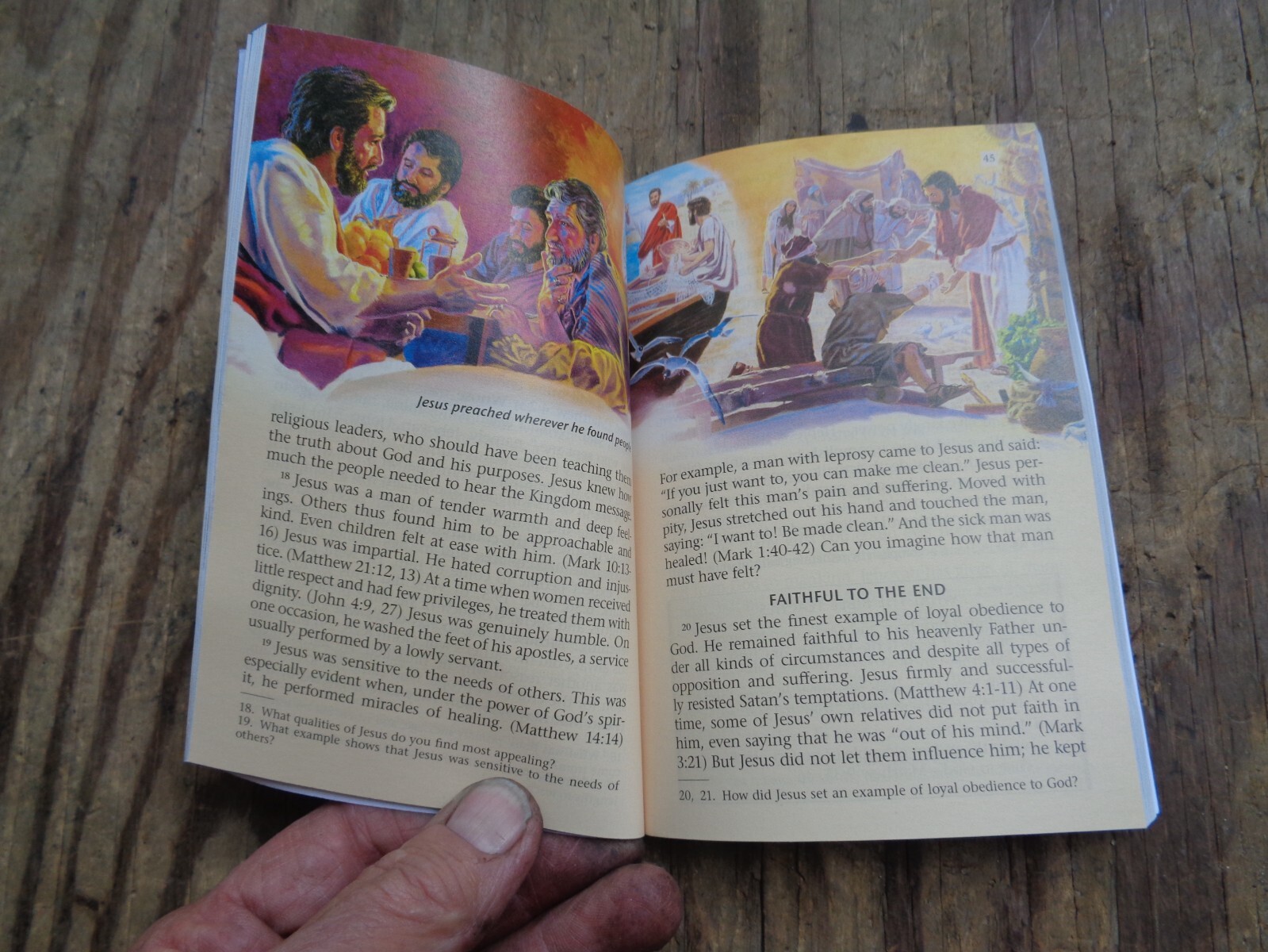 «WHAT DOES THE BIBLE REALLY TEACH?». 2016. 223 pages. Paperback. Watchtower