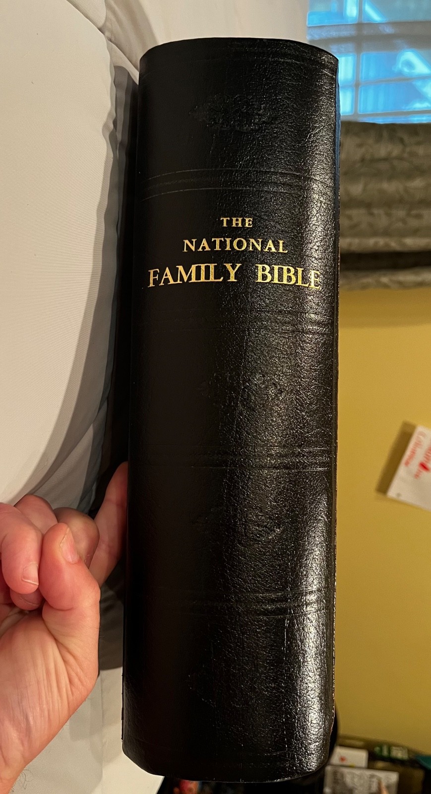 c1880 The Illustrated National Family Bible John Eadie Illustrated Full Moroc…