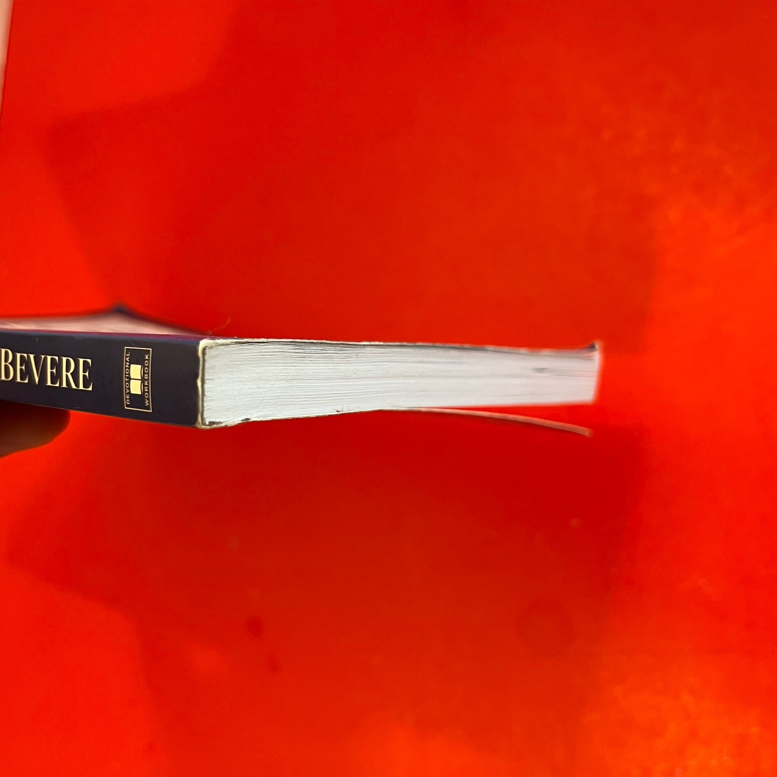 Extraordinary Devotional Workbook John Bevere The Life You’re Meant To Love