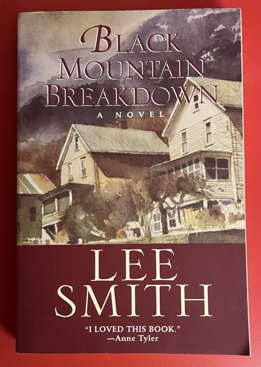 Lot of 7~Novels and Short Stories by Lee Smith~Paperbacks and Hardcovers/DJs