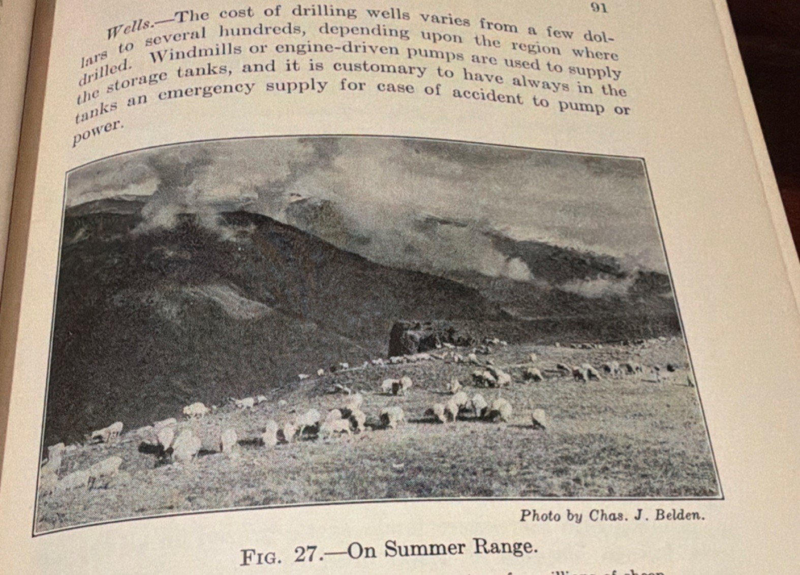John Wiley & Sons Range Sheep and Wool Hultz Hill Hardcover Agriculture 1931