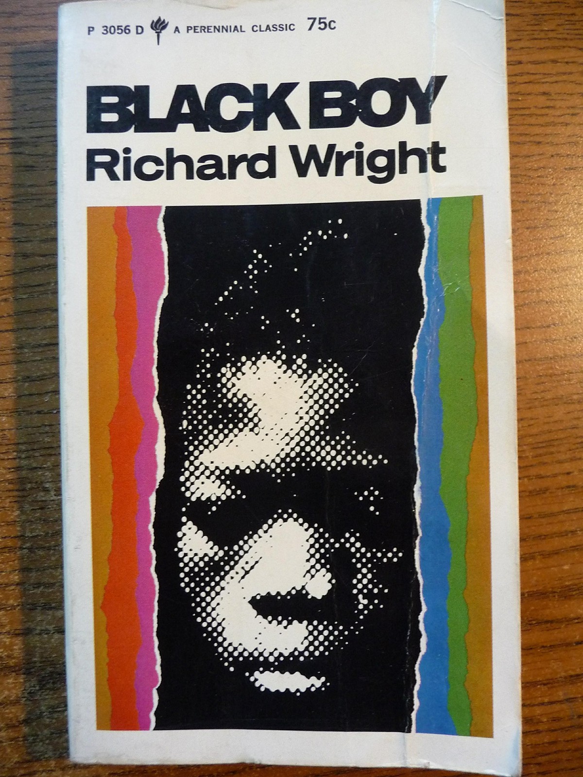 Black Boy: A Record of Childhood and Youth