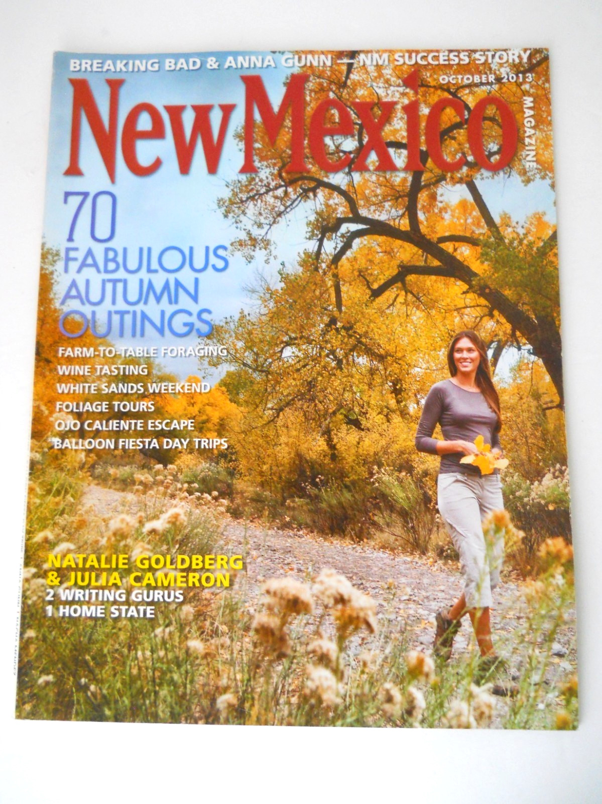 New Mexico Magazine October 2013 Balloon Fiesta Day Trips Wine Tasting