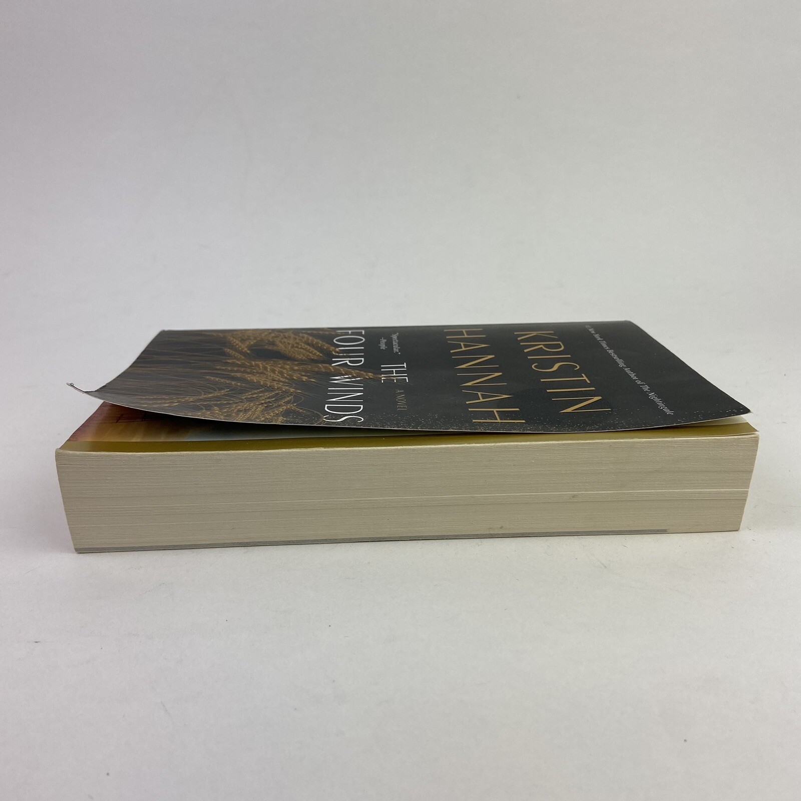 The Four Winds: A Novel Paperback by Kristin Hannah St. Martin Griifin 2023