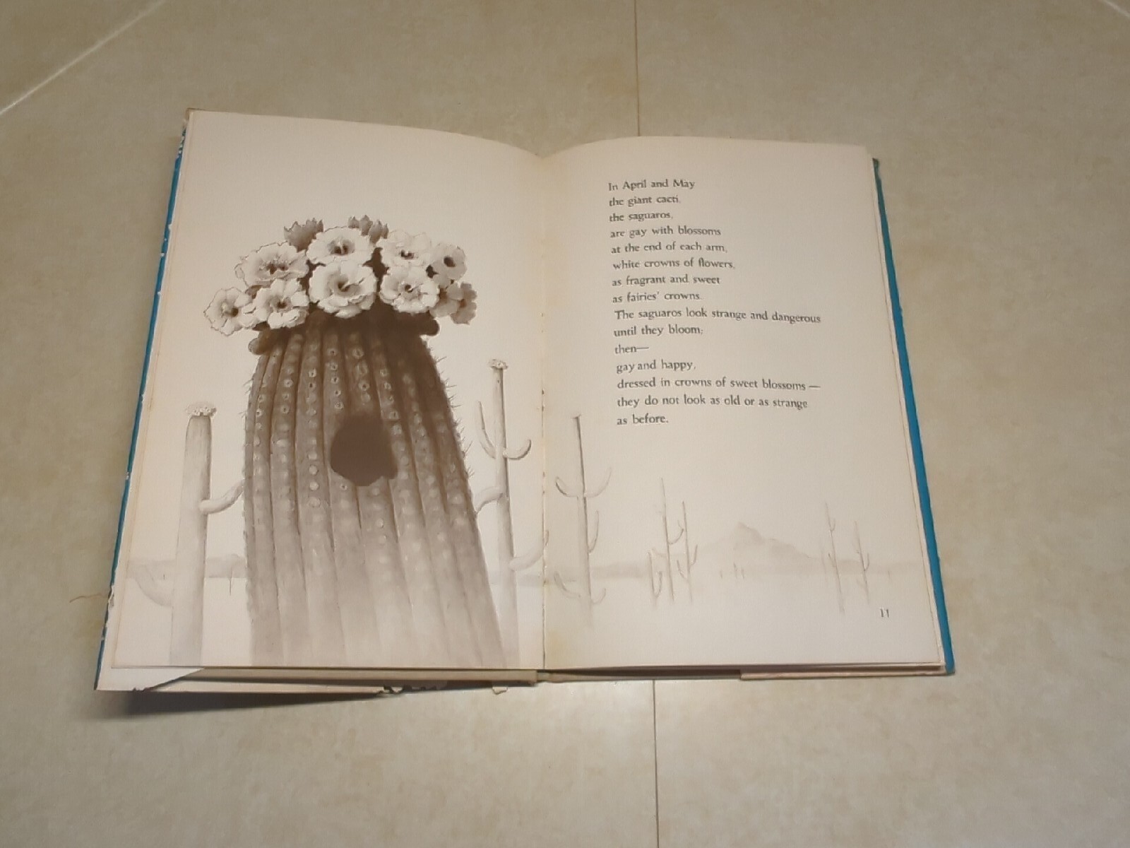 Elf Owl, Mary & Conrad Buff, Hardcover VG in Poor Dust Jacket 1958, 1966…