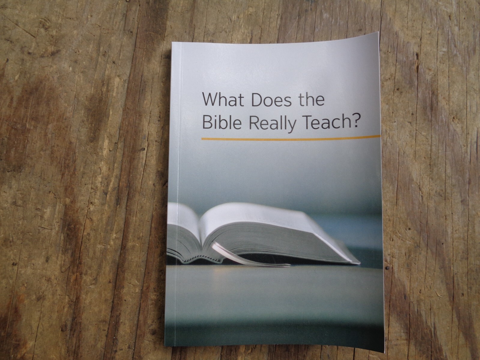 «WHAT DOES THE BIBLE REALLY TEACH?». 2016. 223 pages. Paperback. Watchtower