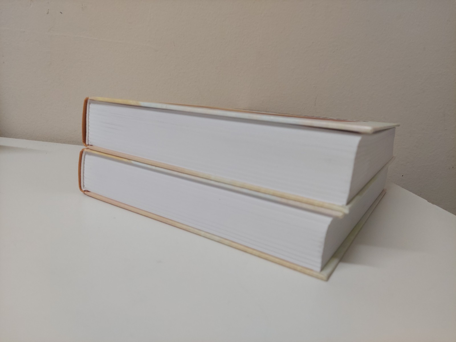 🔥 Like New – Encyclopedia of Industrial and Organizational Psychology Vol 1 & 2