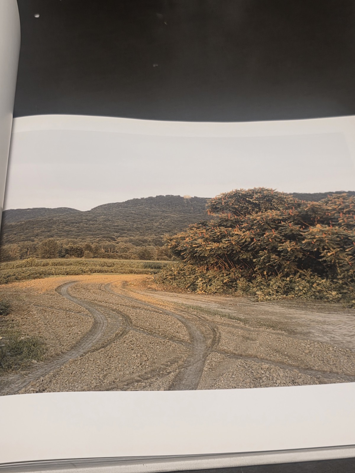 Oxbow Archive by Joel Sternfeld (2008, First Edition,Hardcover) – misprint