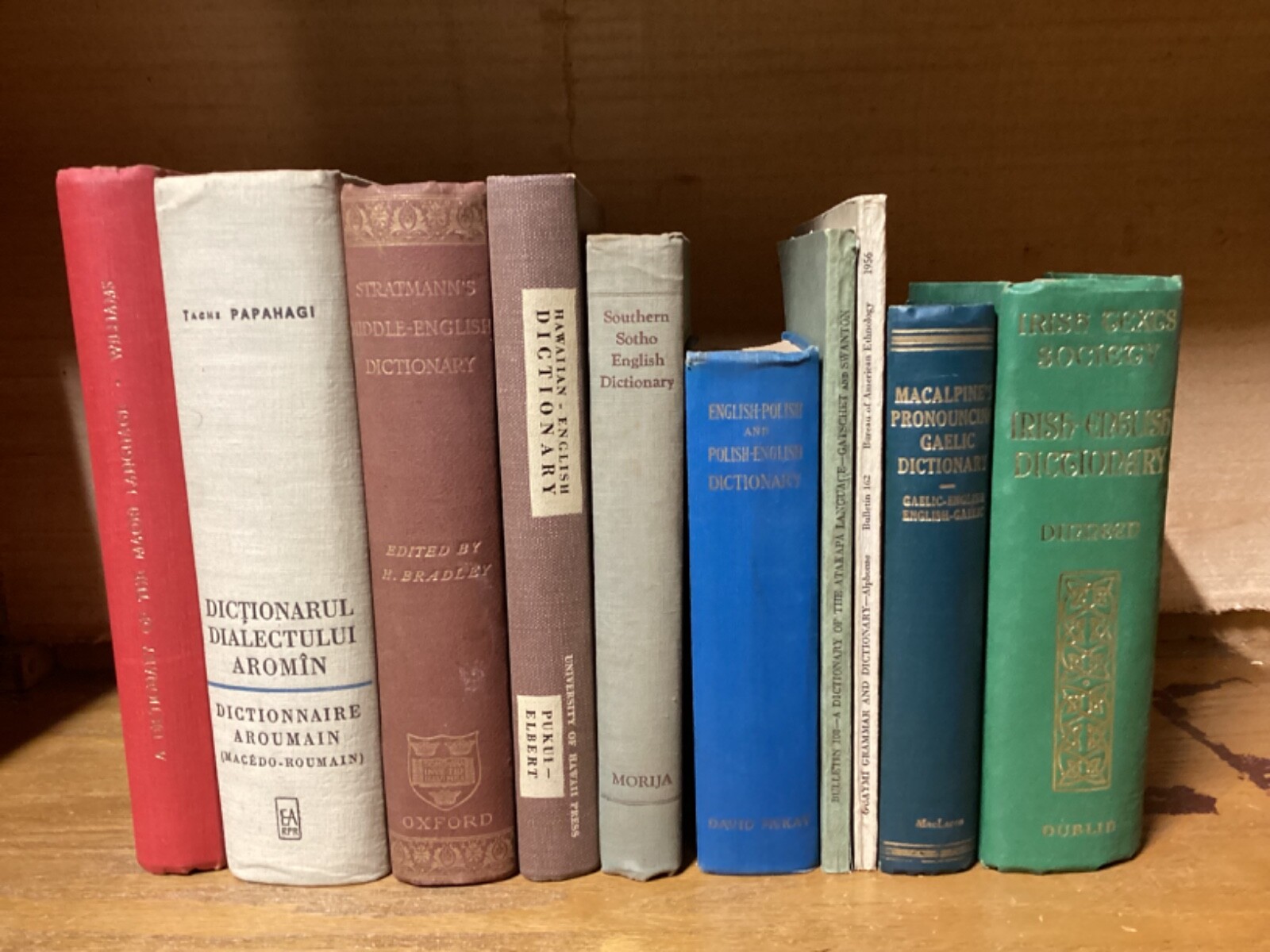 10 RARE Dictionary & Language Books Collection Johannes Rahder Linguistics