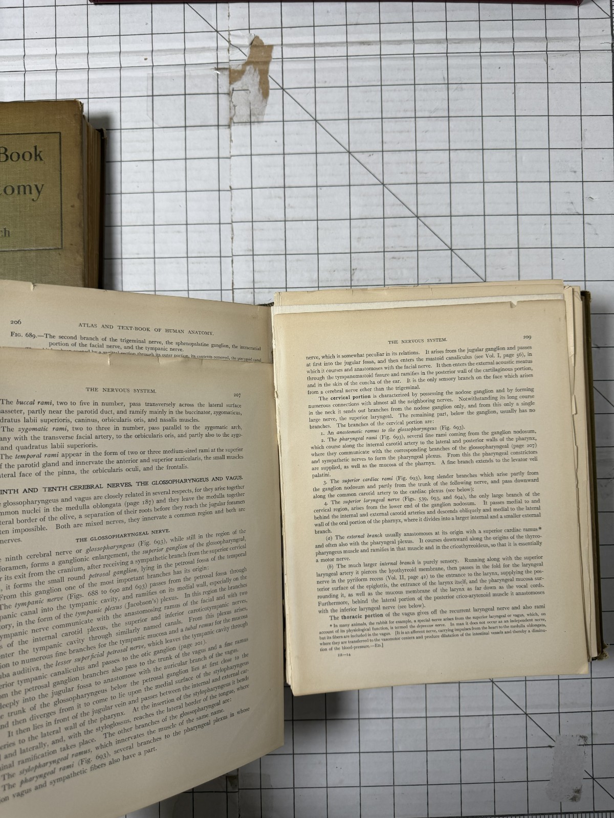 Atlas and Text-Book of Human Anatomy by Sobotta & McMurrich 3 Volume Set 1914 HC
