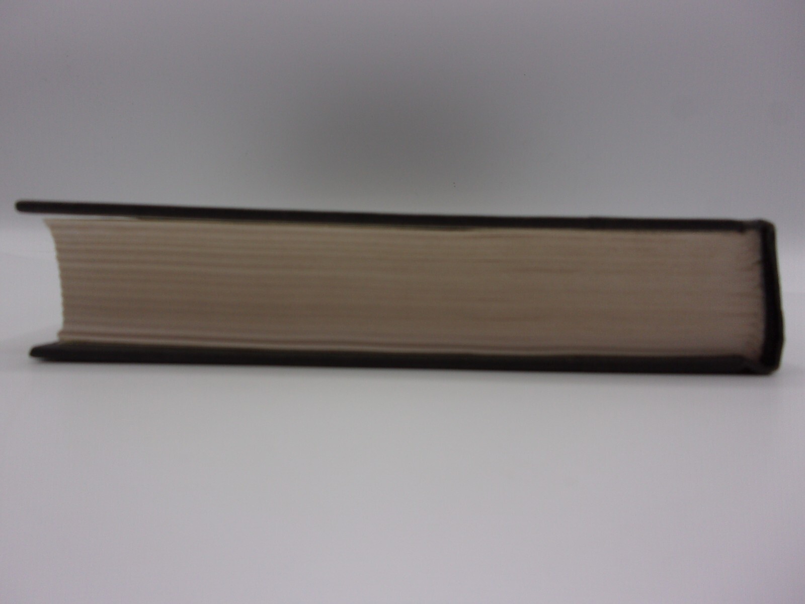 White Oleander by Janet Fitch (1999, Hardcover/DJ Protected)