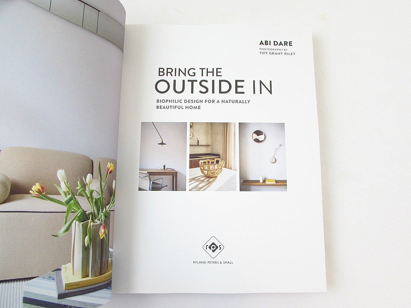 Bring the Outside In Abe Dare 2025 Ryland Peters & Small HC Interior Design