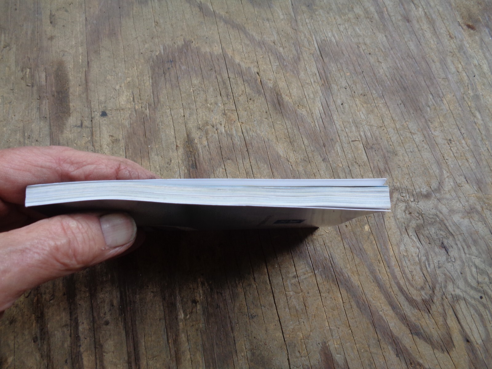 «WHAT DOES THE BIBLE REALLY TEACH?». 2016. 223 pages. Paperback. Watchtower