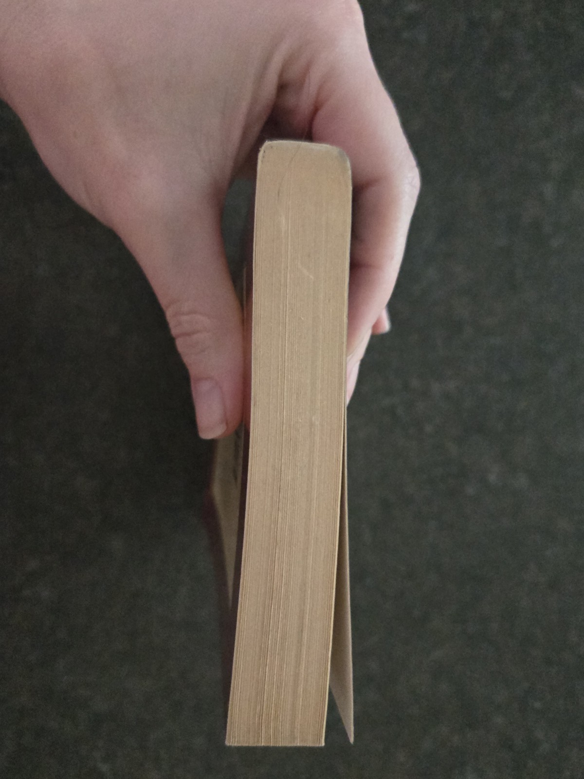 The Wordsworth Dictionary of Foreign Words in English By John Ayto Vg Pb