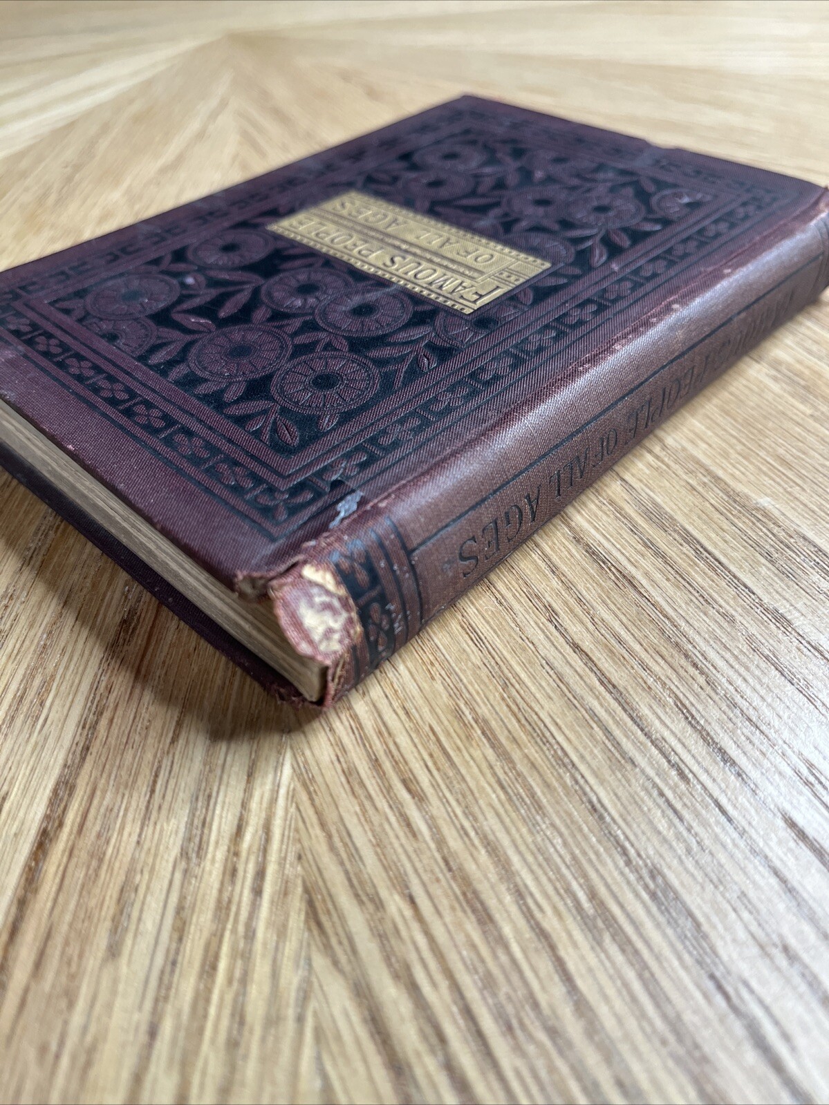 Famous People Of All Ages By W. H. Van Orden VTG 1885