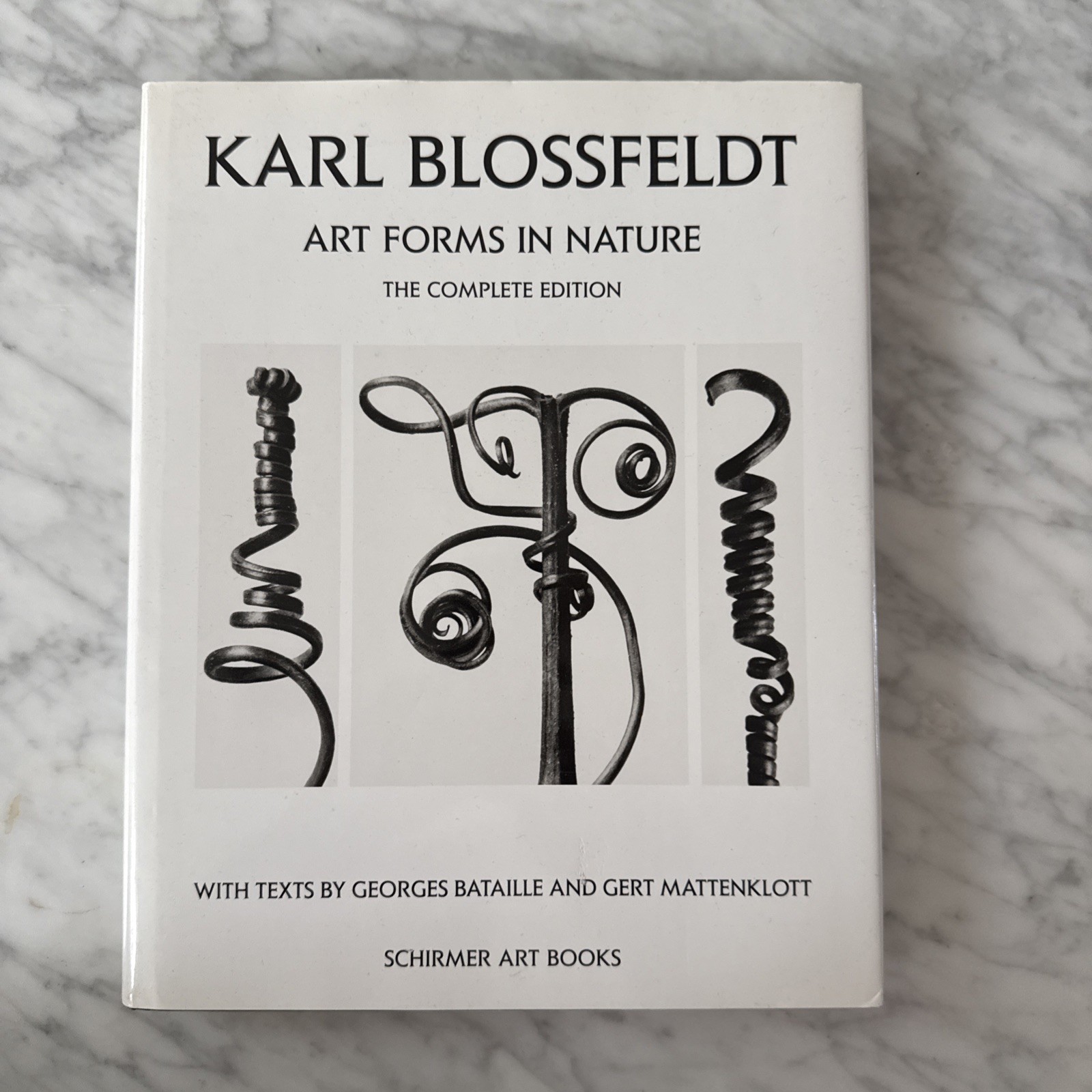 Art Forms in Nature : The Complete Edition by Georges. Bataille, Karl Blossfeldt