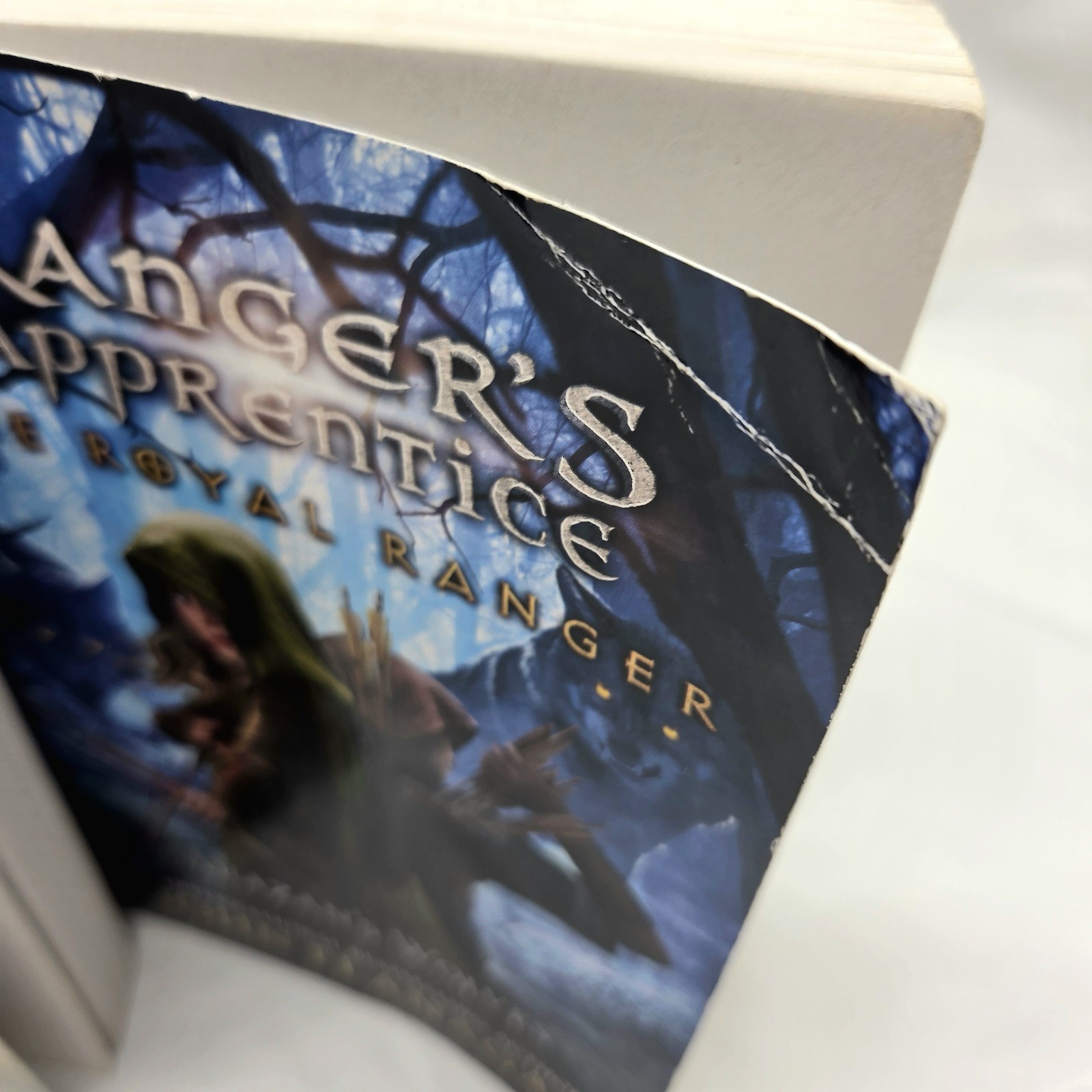 Ranger’s Apprentice Complete Series Set 1-12 Paperback Books & Royal Ranger 4-7