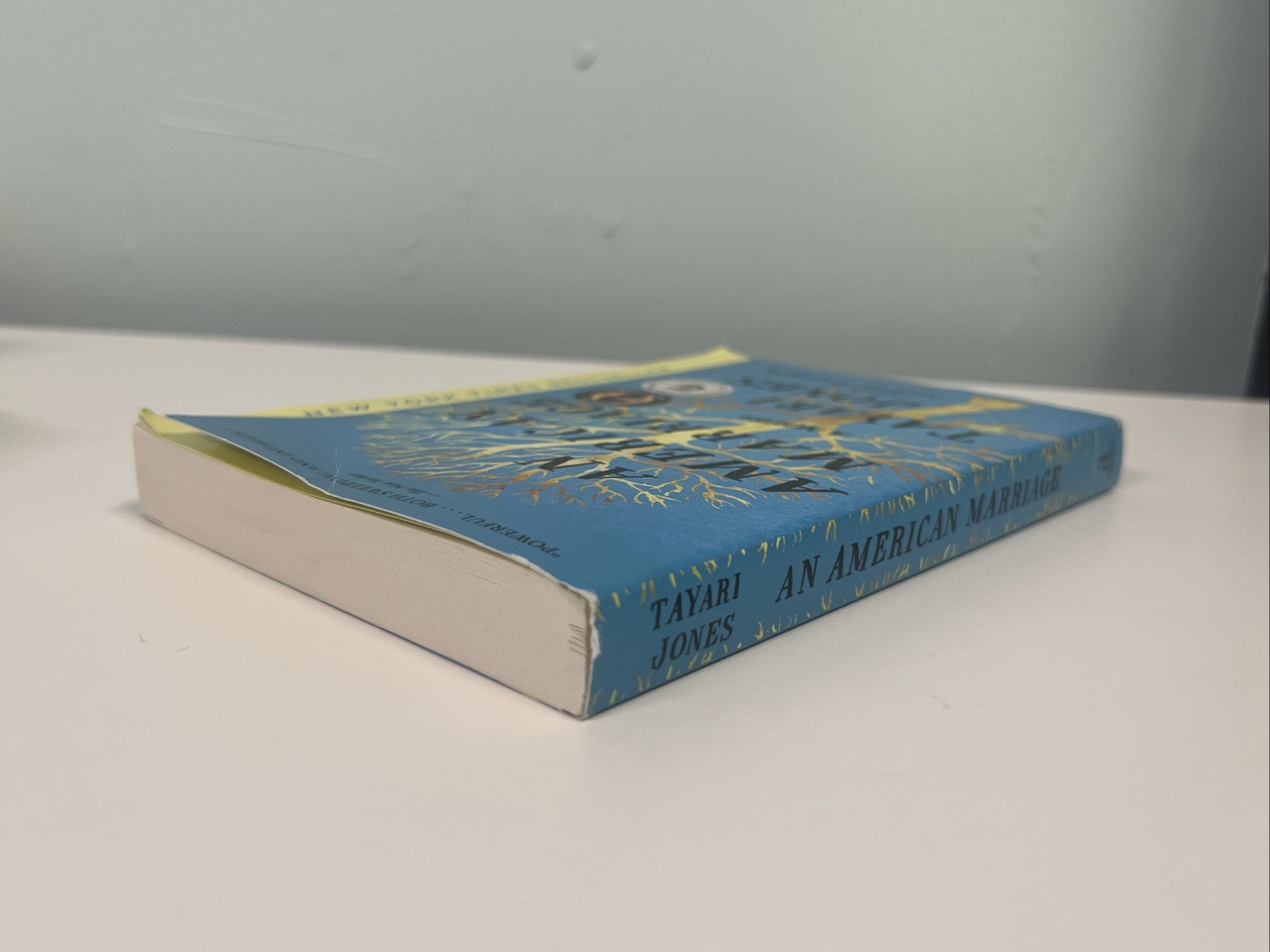 American Marriage (Oprah’s Book Club) : A Novel by Tayari Jones (2019, Trade…
