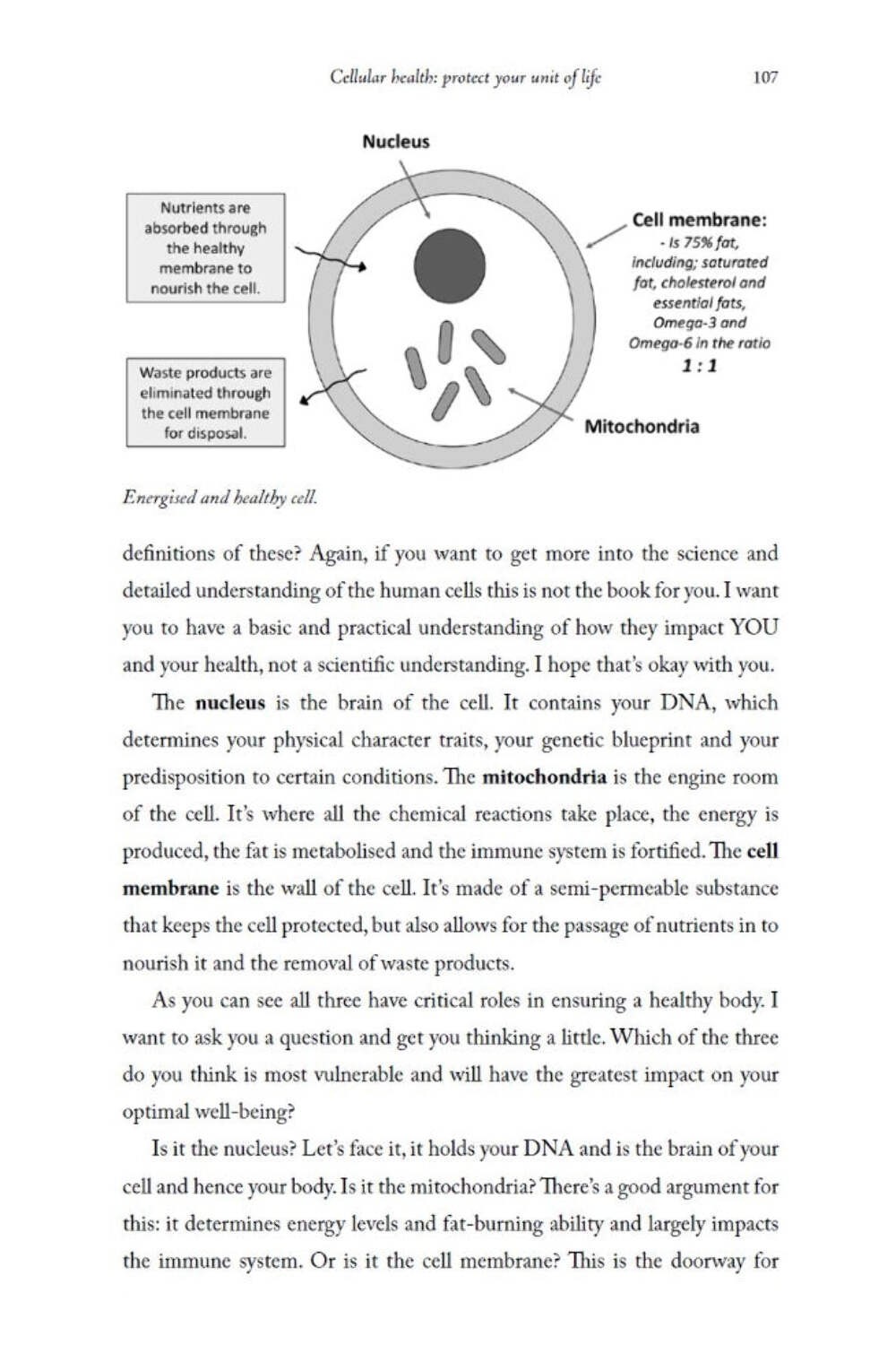 The Wellness Puzzle