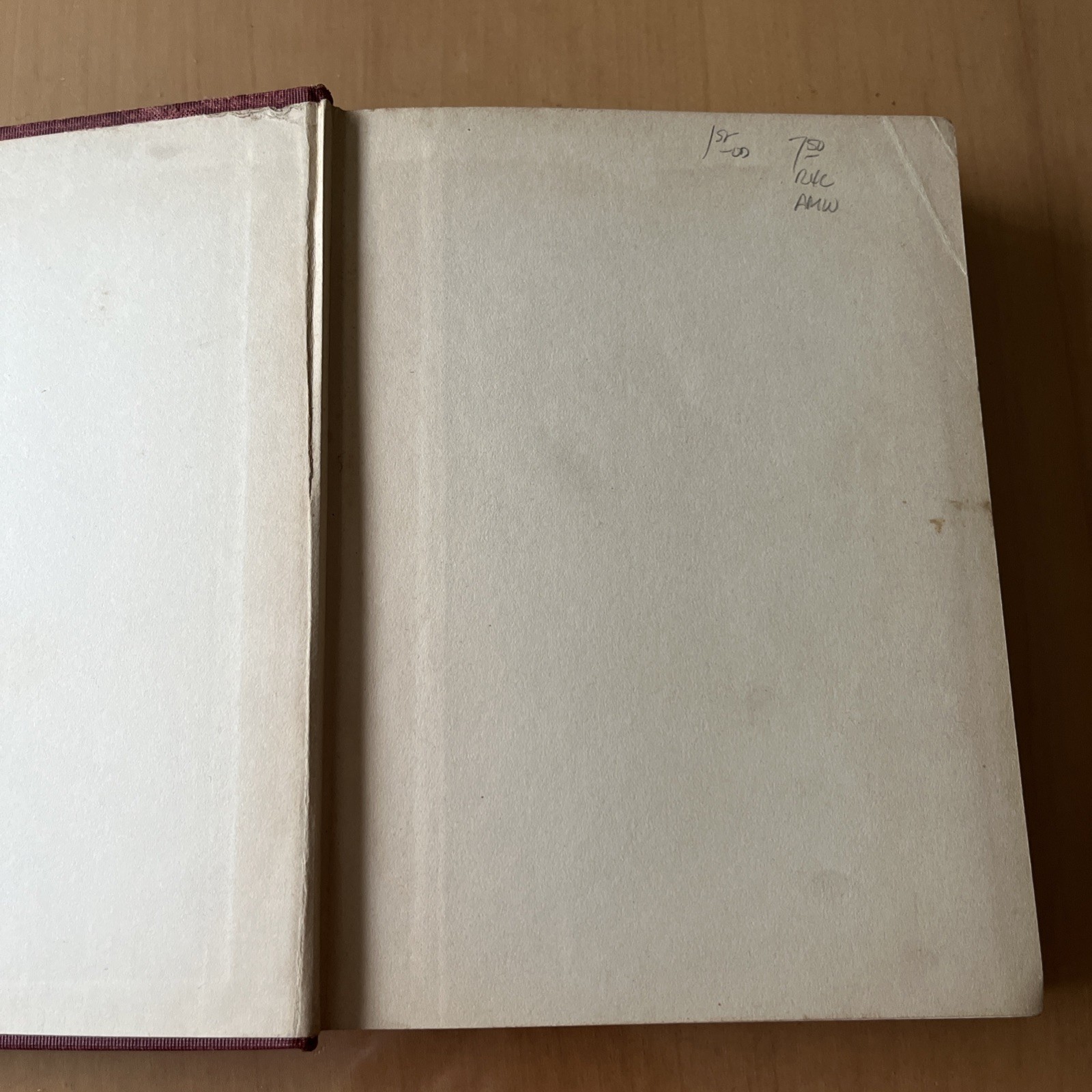 By Rail And Trail Mae Foster JAY 1st Edition 1928 Illustrated Hardcover