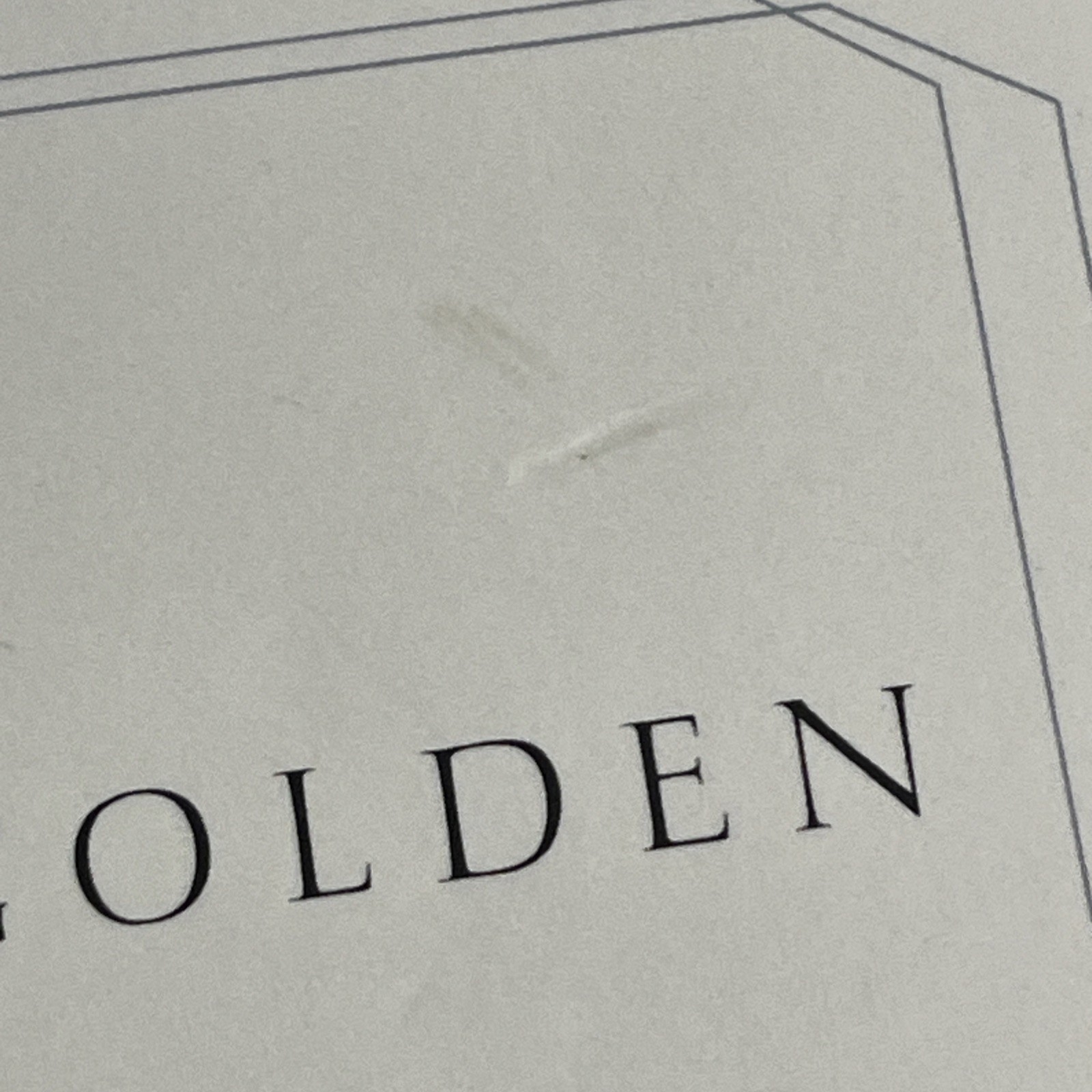Theo of Golden Allen Levi RARE SELF PUBLISHED True 1st Edition STATED TPB