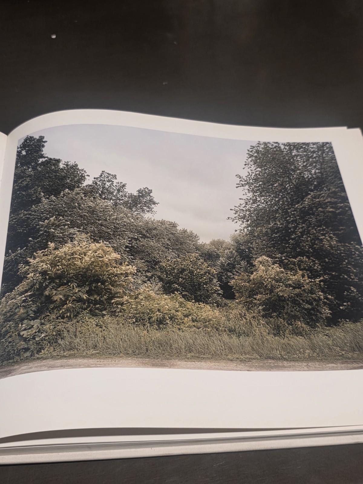Oxbow Archive by Joel Sternfeld (2008, First Edition,Hardcover) – misprint