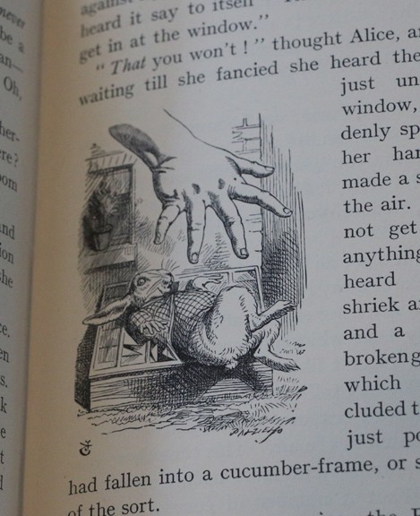 Vintage Alice’s Adventures in Wonderland, Illustrated by John Tenniel, 1953