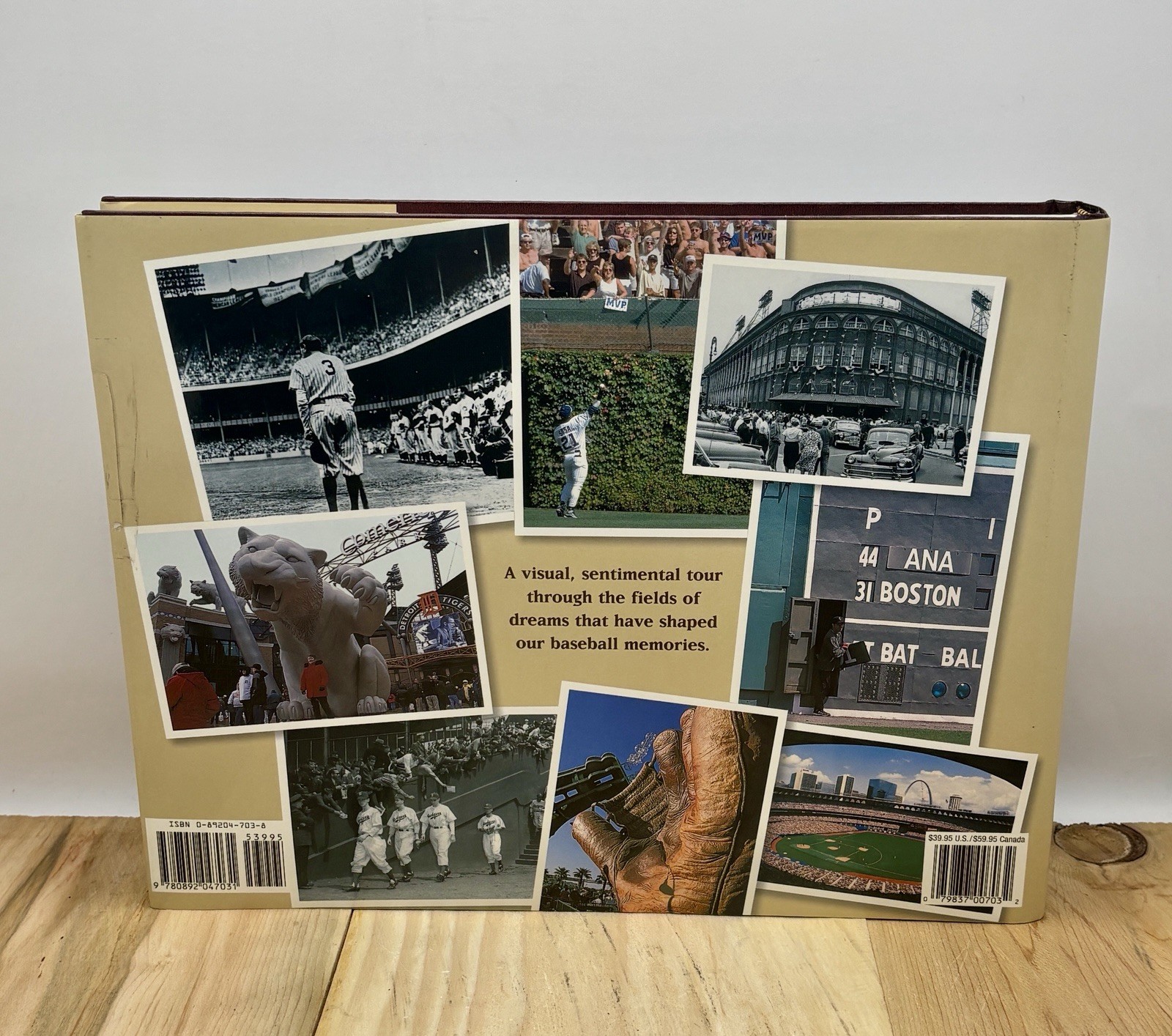 The Ballpark Book : A Journey Through the Fields of Baseball Magic by Ron Smith