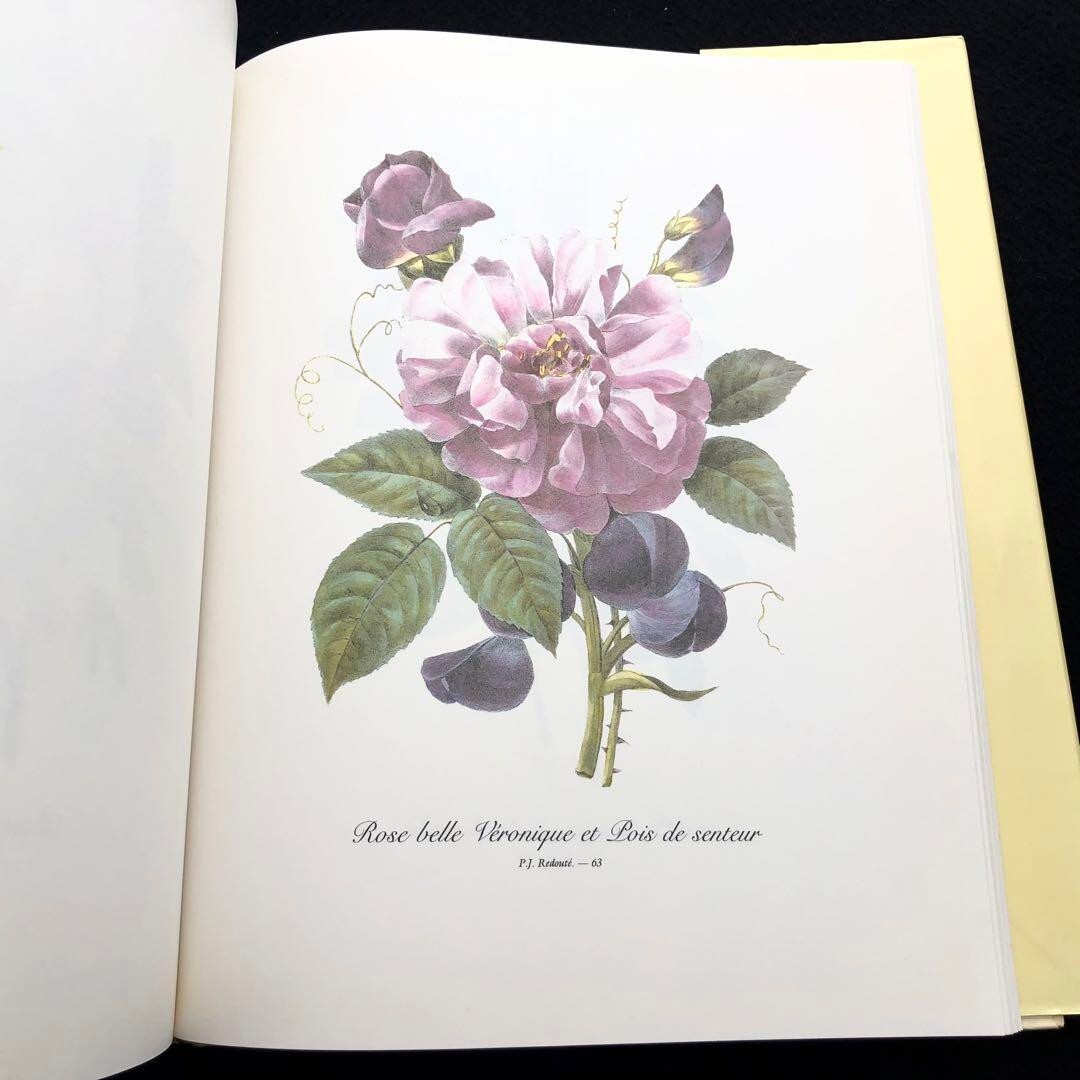 Pierre Joseph Redoute Art Book Redoute’S Bouquets From Japan used