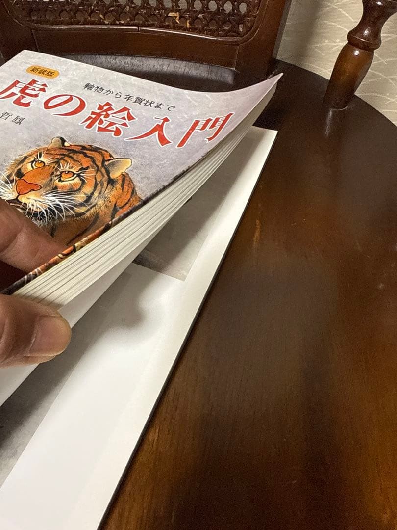 Tiger Drawing Guide New Edition Scrolls to New Year’s Cards Technique Book