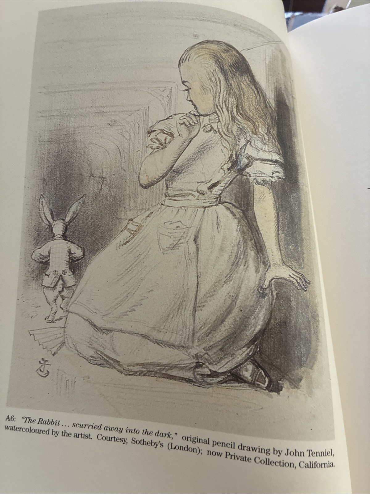 Alice’s Adventures in Wonderland Printing Re-Described Privately Published 1990