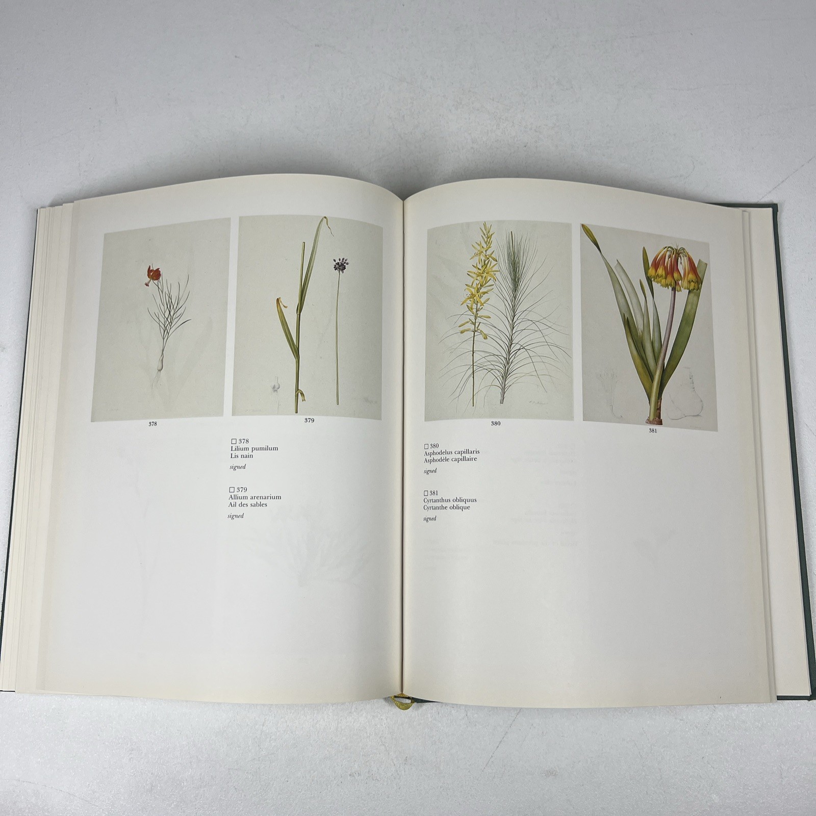 Sotheby’s Catalog Pierre Joseph Redoute Liliacees New York 1983 Hardcover