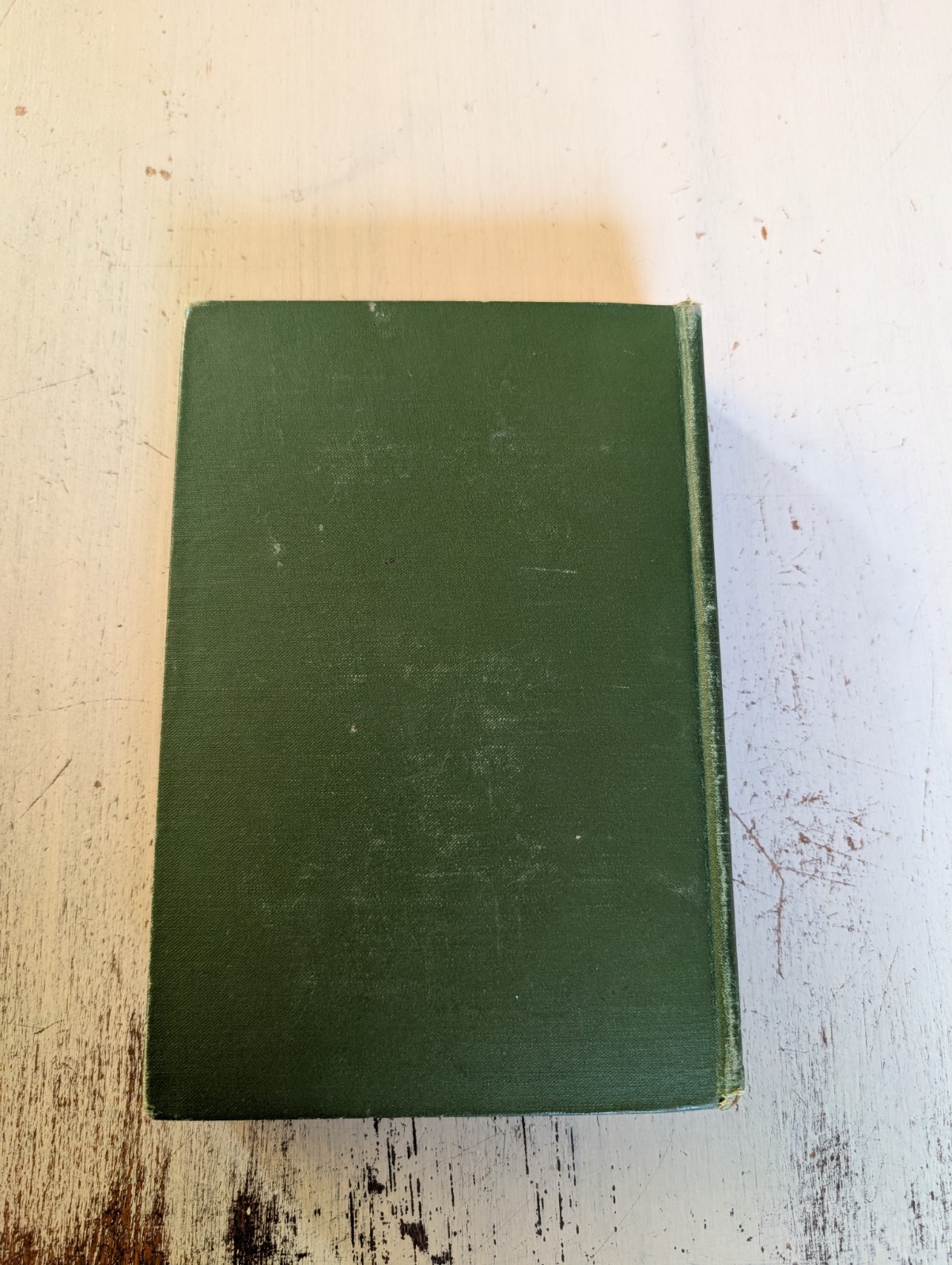 How to Know the Wild Flowers Mrs. William Star Dana 1902 Illustrated Hardcover