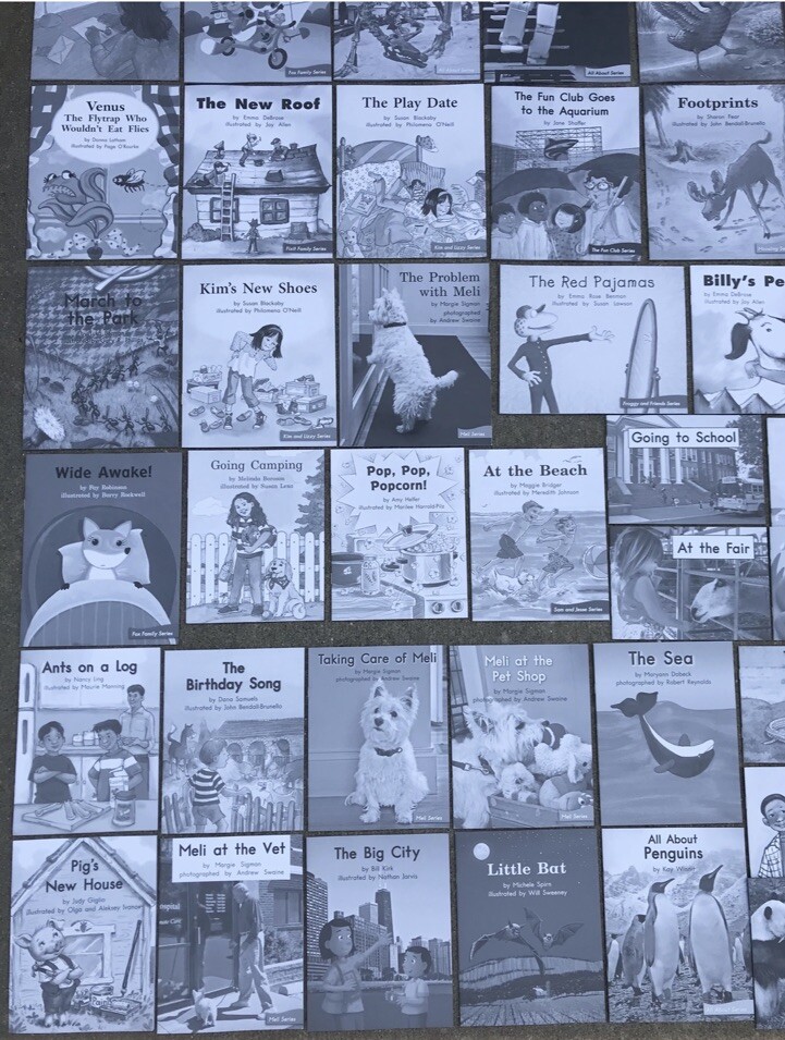 FOUNTAS & PINNELL Blue LLI System Books 1-120 Set Levels C-N Take-Home Readers