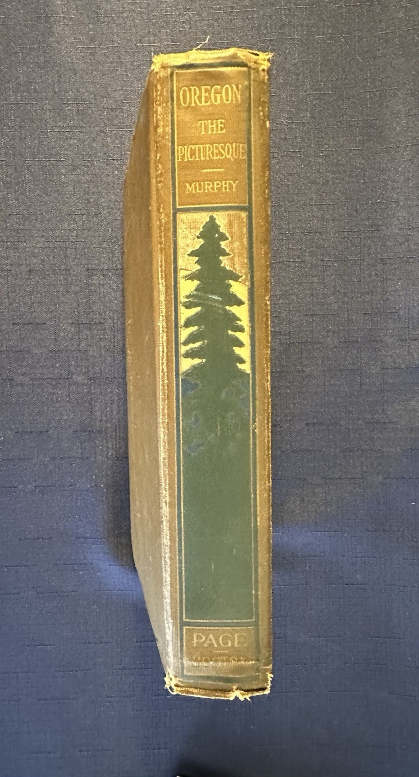Oregon the Picturesque by Thomas Murphy – (HC, 1917, 1st Printing) With Map