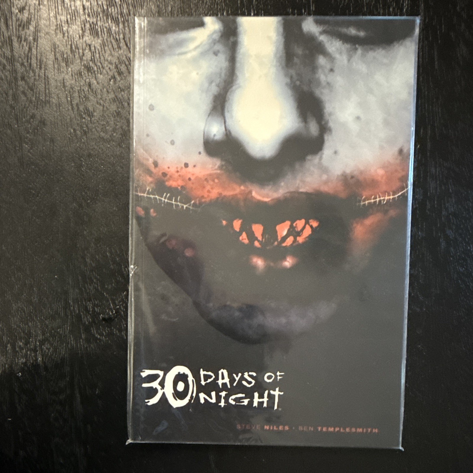 30 Days of Night Paperback Graphic Novel by Niles & Templesmith