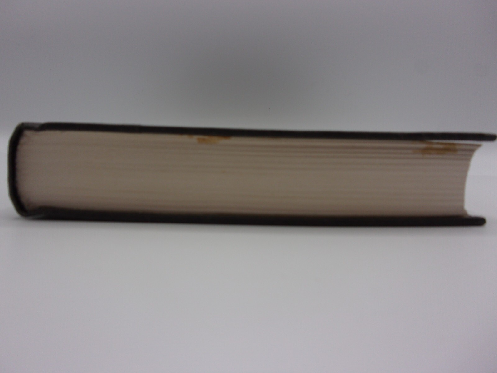 White Oleander by Janet Fitch (1999, Hardcover/DJ Protected)