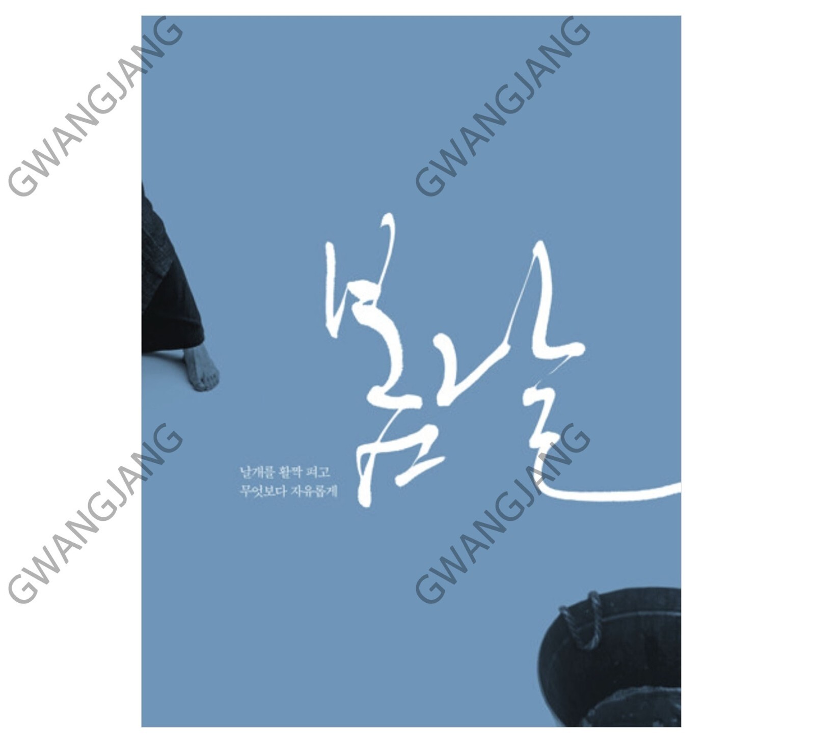 DESIGNSAGANG Kang Byung-In’s Calligraphy Collection Art Design Book Artist Kpop