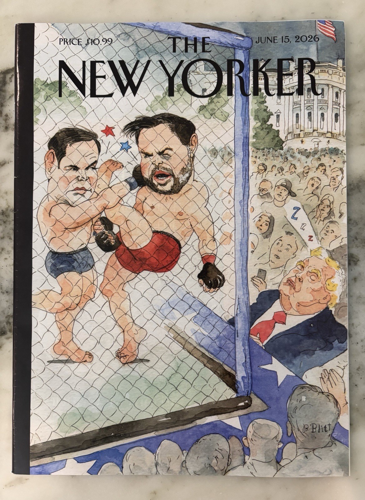 The New Yorker Magazine June 15, 2026 Barry Blitt «Out Cold» on cover ~ New copy
