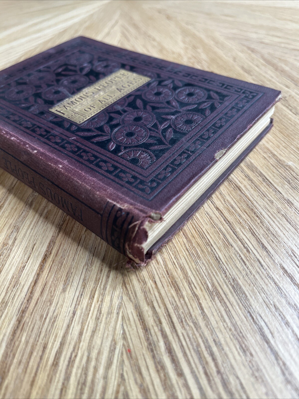 Famous People Of All Ages By W. H. Van Orden VTG 1885