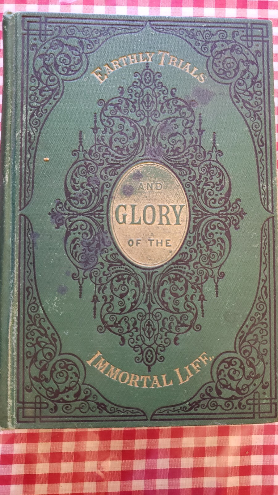 glory of the immortal life by j.e. Stebbins 1878 Victorian era 576 pages