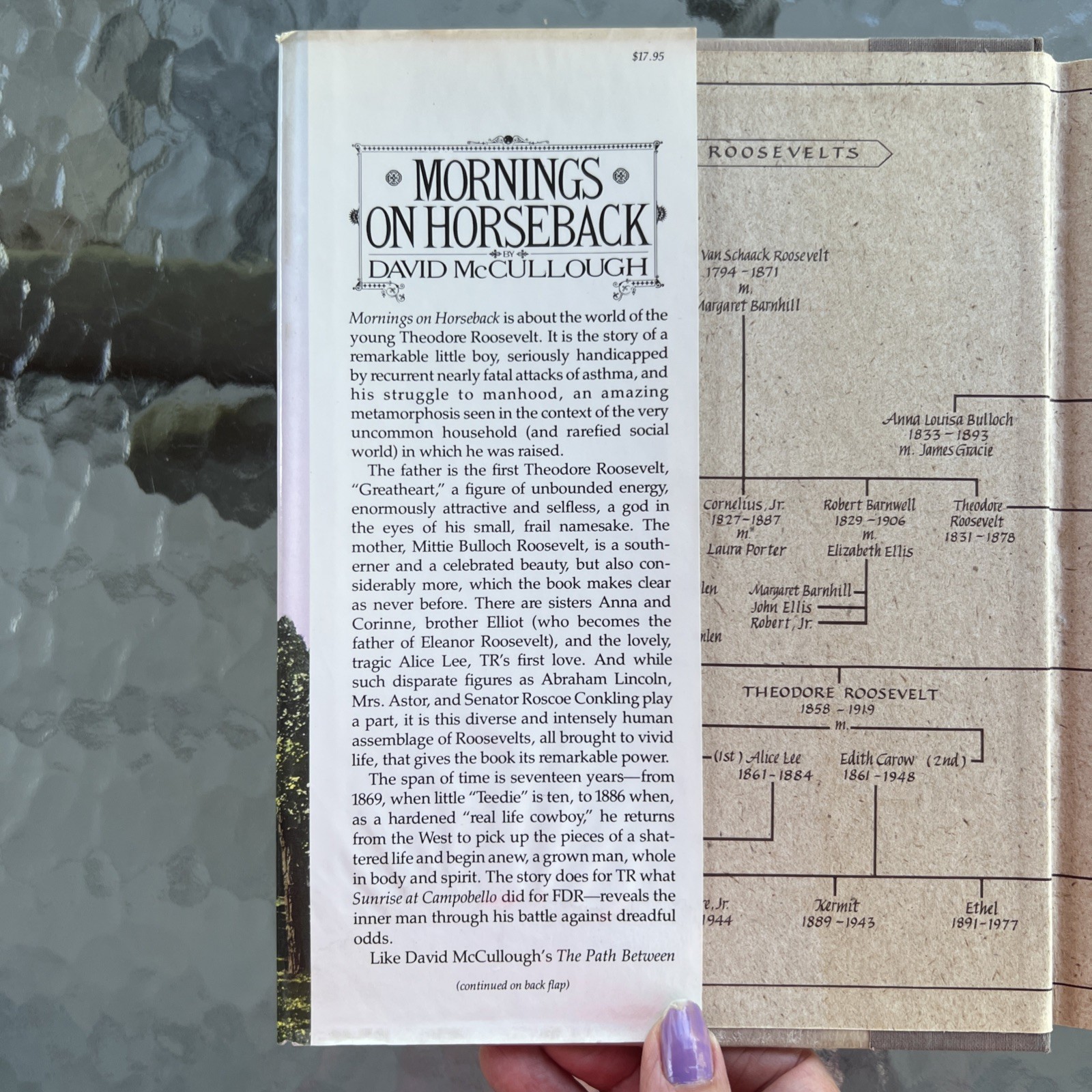 Mornings On Horseback by David McCullough 1st Edition First Printing 1981