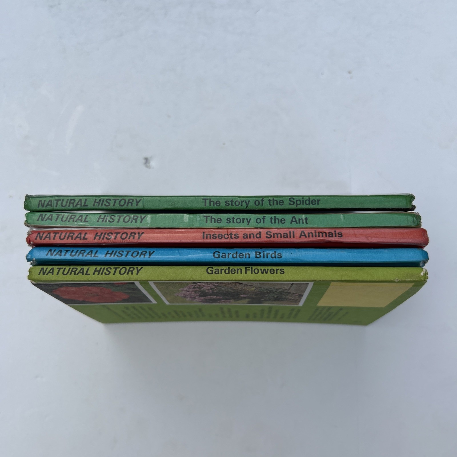 Job Lot 5 Rare Ladybird Children’s Books Natural History Theme 1980s Collectable